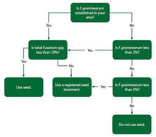 Deciding whether or not to apply seed treatment