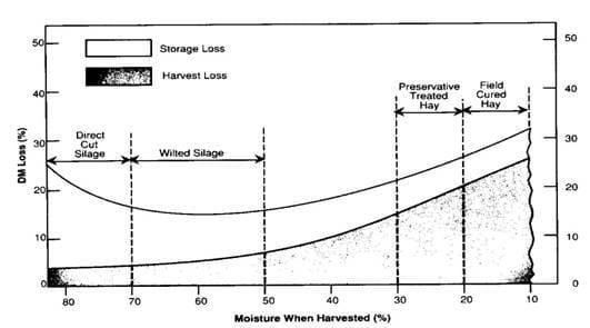 Moisture when harvested