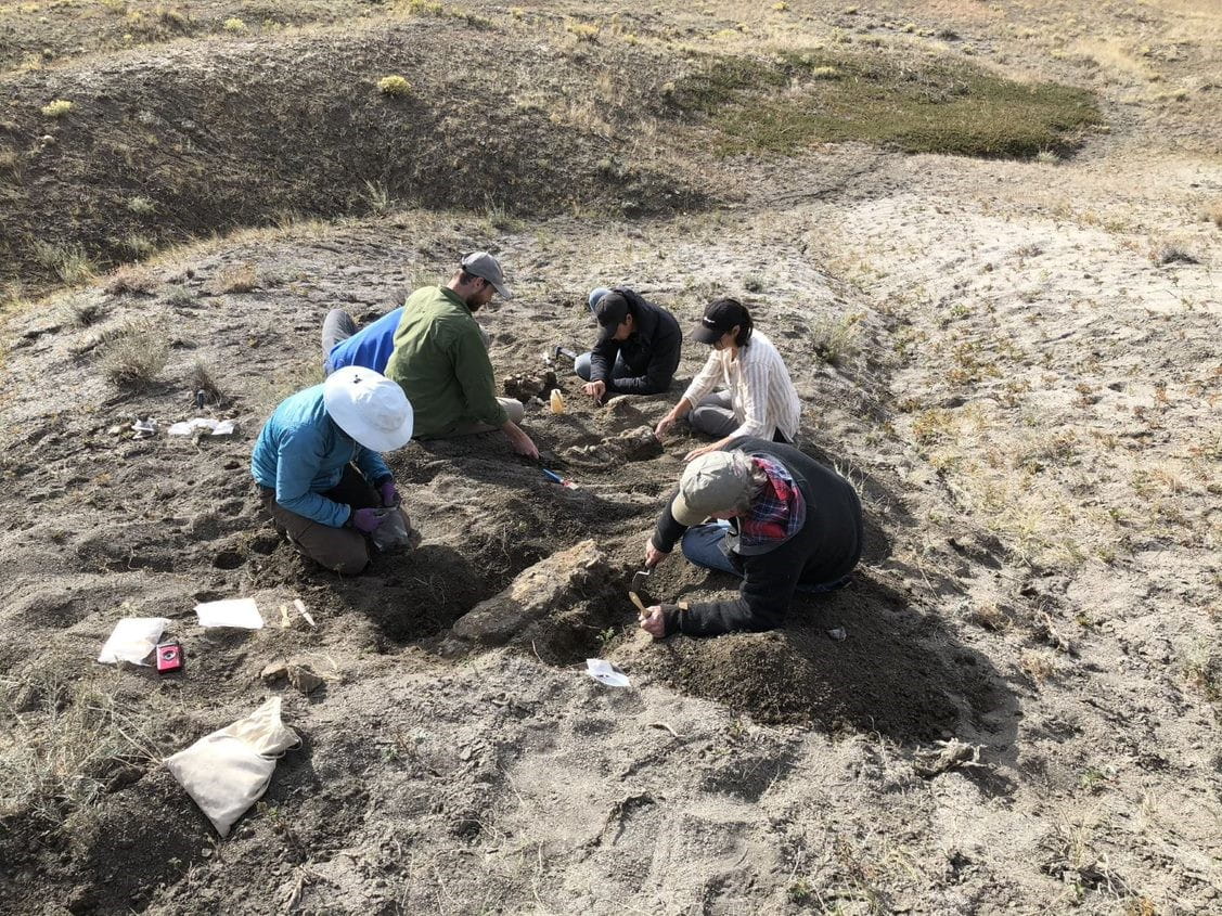 Un groupe de personnes creusant dans la terre.