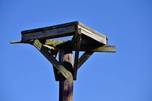 Raptor platform